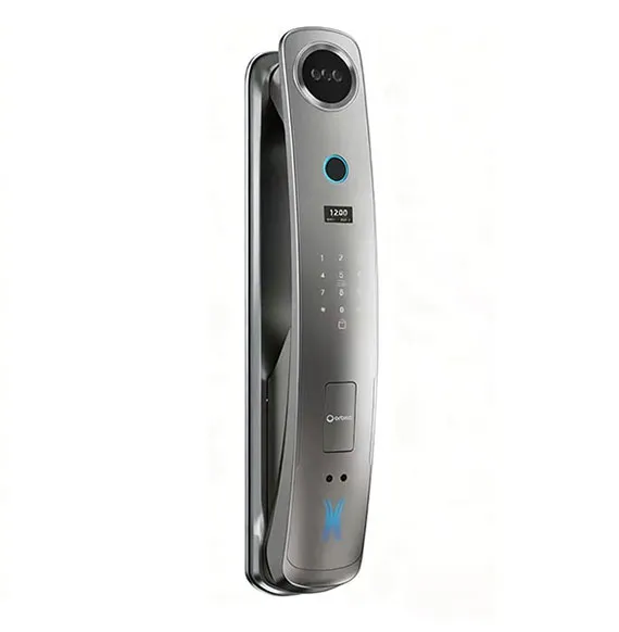 P8031A 3D Facial Recognition Smart Lock